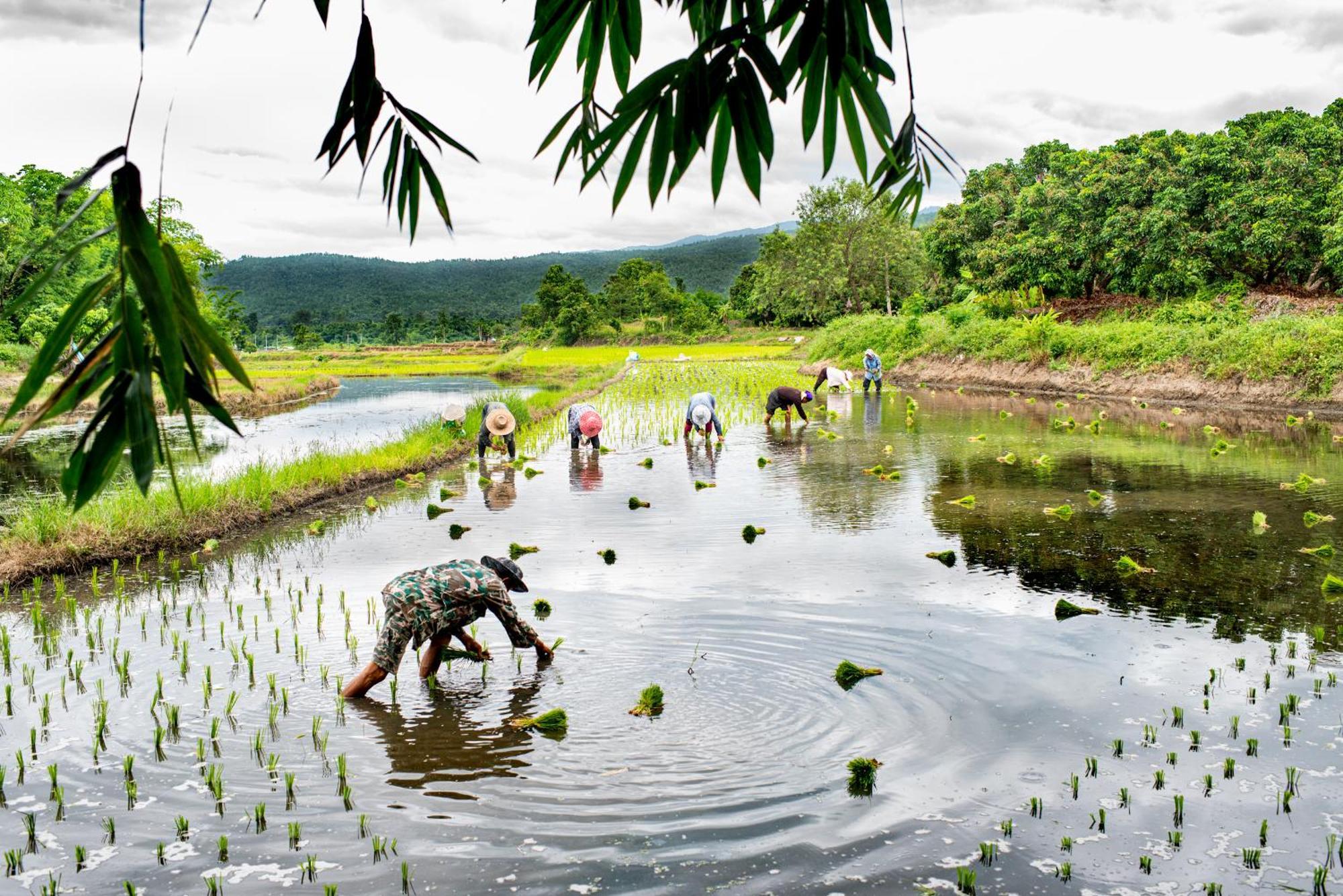 Suan Sook Homestay จอมทอง ภายนอก รูปภาพ