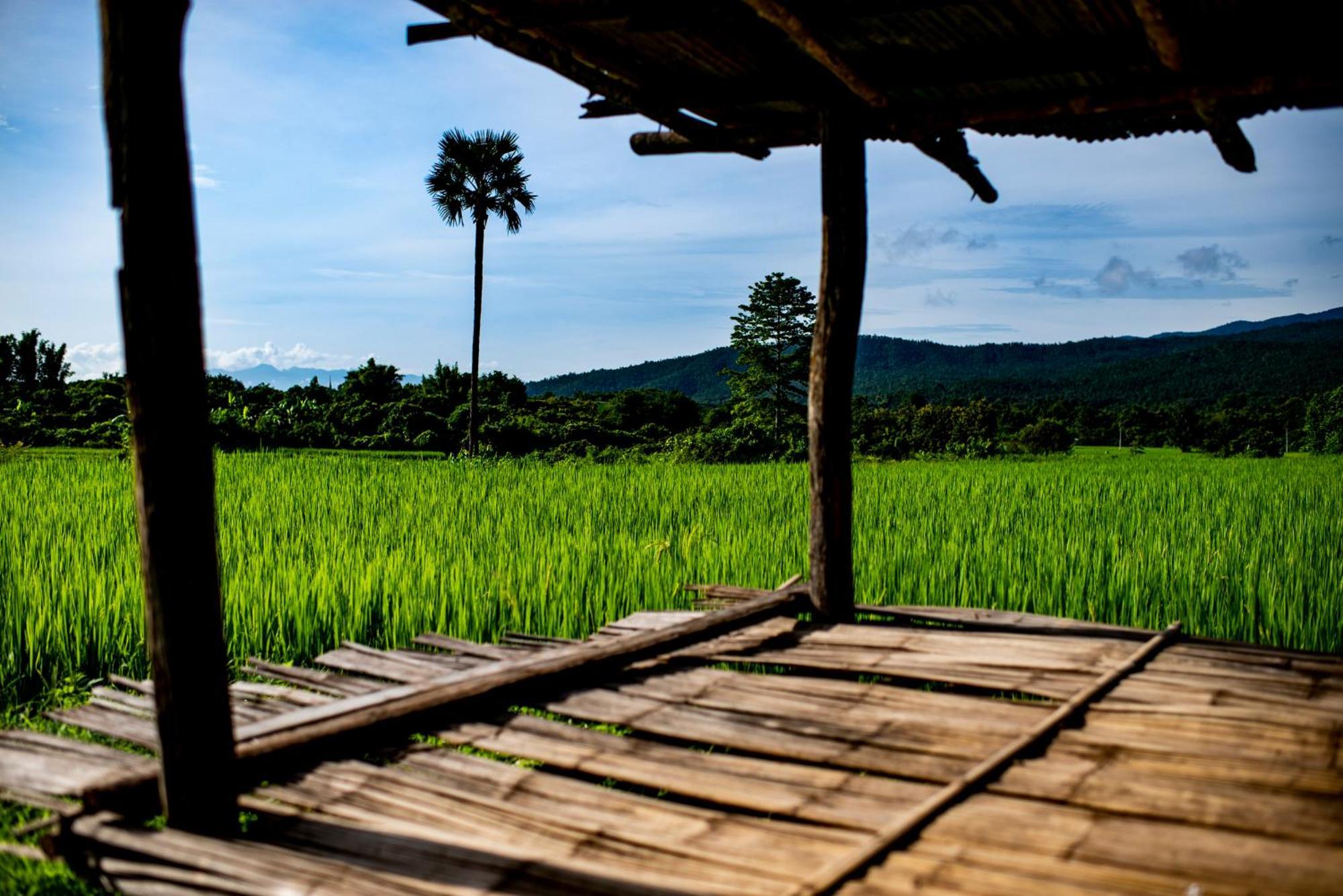 Suan Sook Homestay จอมทอง ภายนอก รูปภาพ