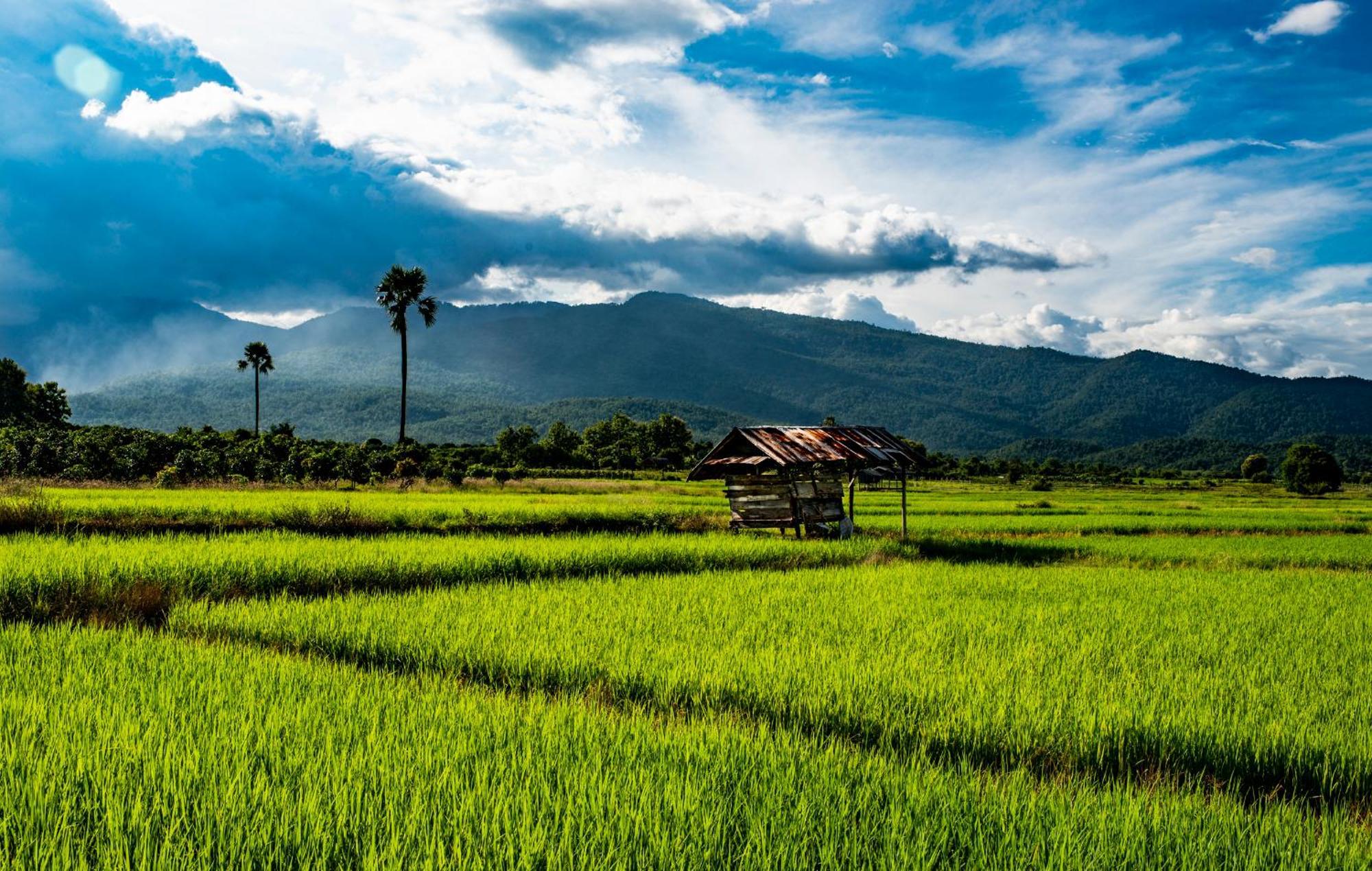 Suan Sook Homestay จอมทอง ภายนอก รูปภาพ