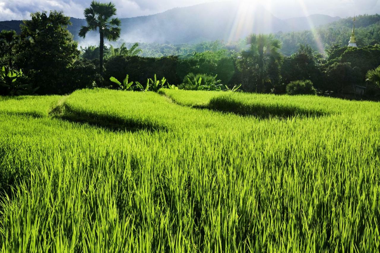 Suan Sook Homestay จอมทอง ภายนอก รูปภาพ
