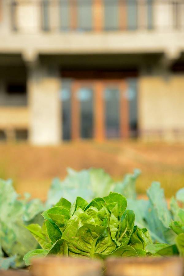 Suan Sook Homestay จอมทอง ภายนอก รูปภาพ